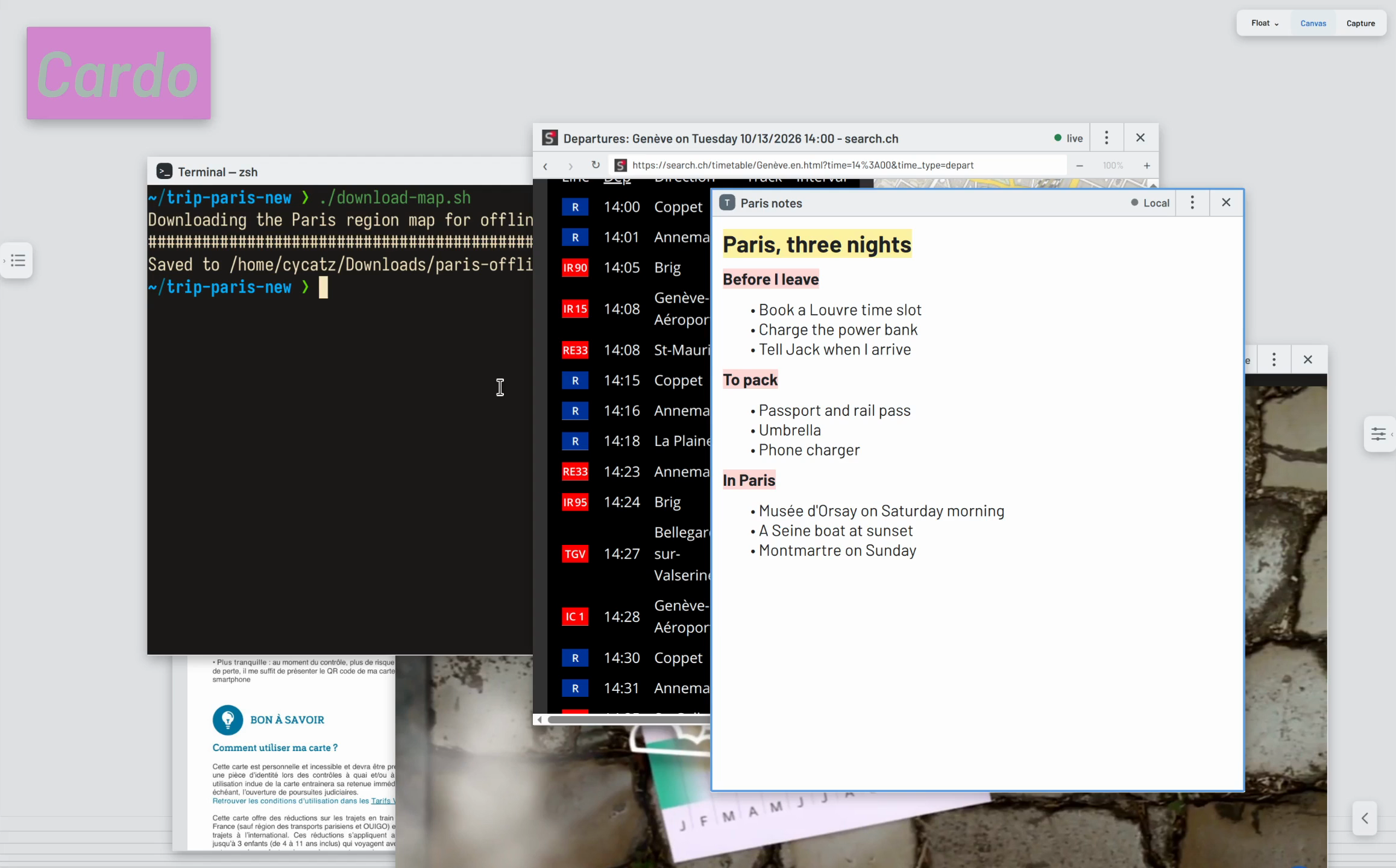 Five windows open on the Cardo desktop: a Terminal, a departures page, trip notes, a railcard PDF, and a video